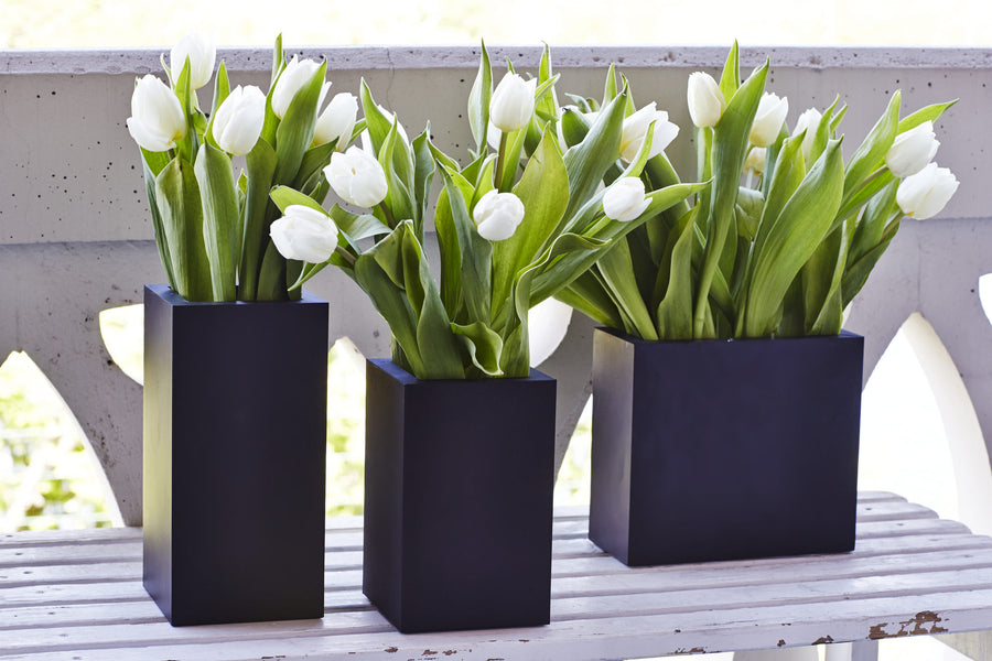 Let the greenery move outside.