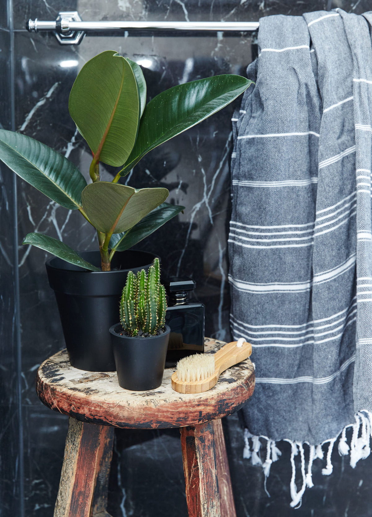 A green corner in the bathroom