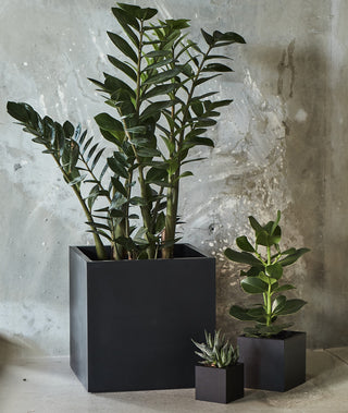 Multi - Kvadrat M