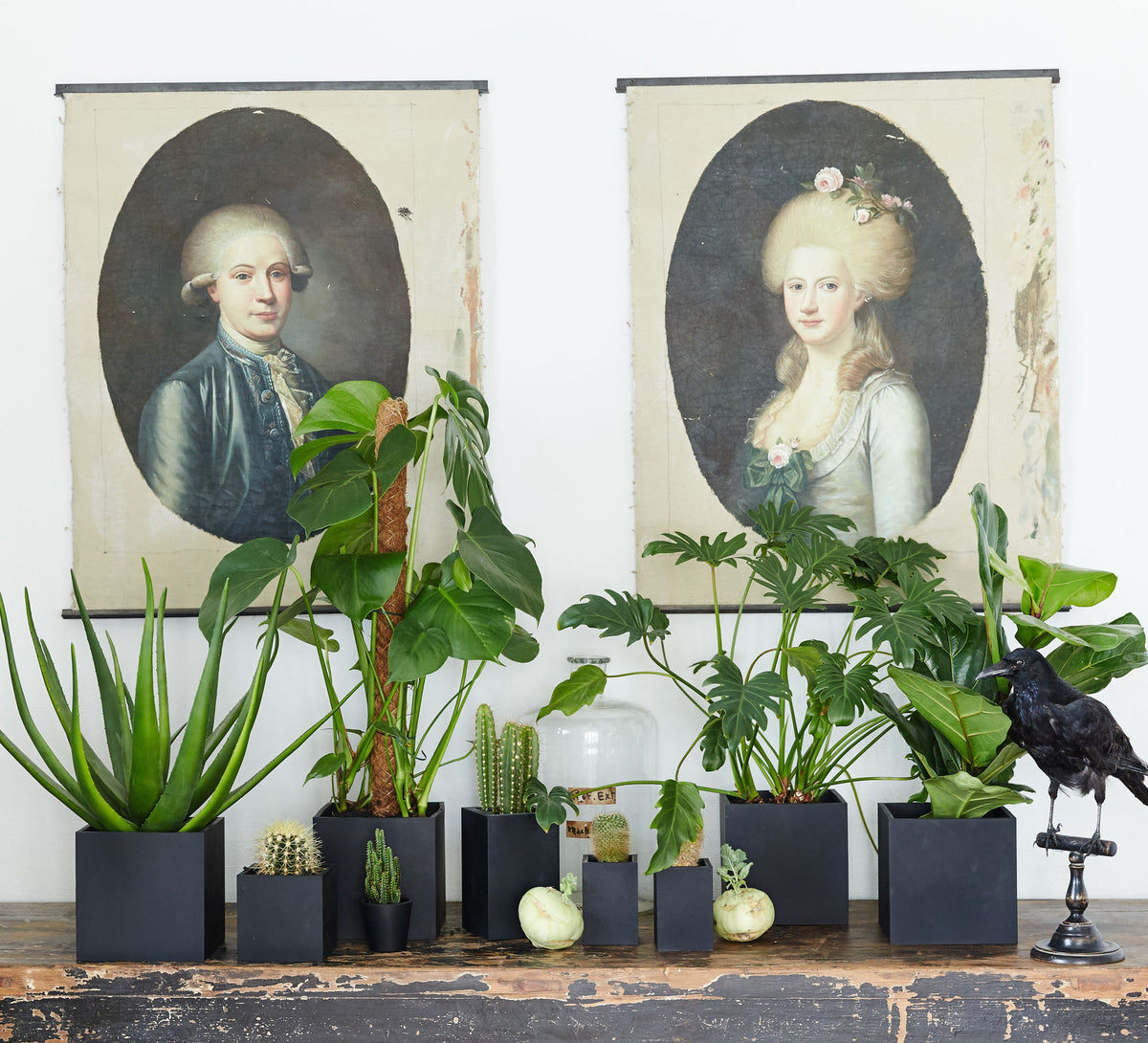 The Multi Square series with plants. The recommended tray is shown by the buy button.
