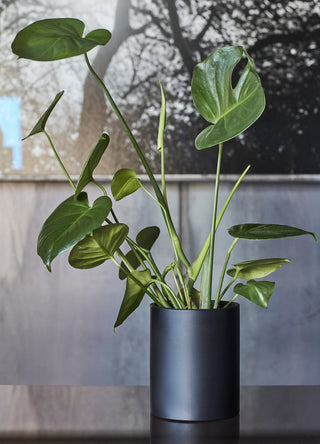 Cylindervase