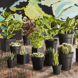 Alternative view of Multi - Rund - S