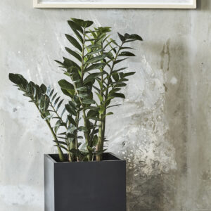 Alternative view of Multi - Kvadrat - XXL